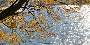 Beitragsbild des Blogbeitrags Wenn nicht jetzt, wann dann? Tolle Rezepte aus der Herbstküche