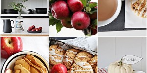Beitragsbild des Blogbeitrags Was du aus Apfelschalen Gesundes und Gutes machen kannst 