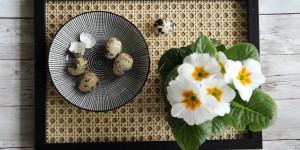 Beitragsbild des Blogbeitrags DIY - ein super schönes Tablett mit Wiener Geflecht 