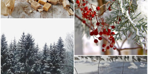 Beitragsbild des Blogbeitrags Sonntagsgespräche bei mir am Blog