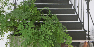Beitragsbild des Blogbeitrags Sonntagsgespräche bei mir am Blog 