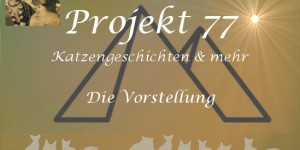 Beitragsbild des Blogbeitrags Projekt 77: Katzengeschichten pur!