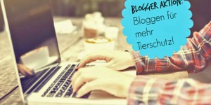 Beitragsbild des Blogbeitrags Bloggen für den Tierschutz!