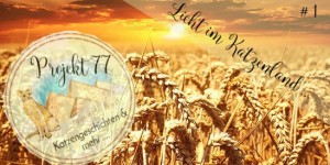 Beitragsbild des Blogbeitrags |Projekt 77| Licht im Katzenland …