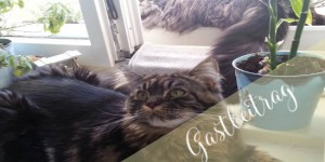Beitragsbild des Blogbeitrags Die Royals auf 4 Pfoten haben uns besucht!