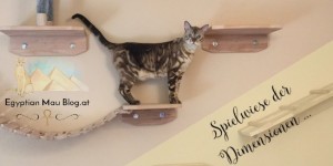 Beitragsbild des Blogbeitrags Spielplatz für Katzen – eine Kletterwand 
