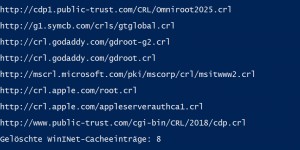Beitragsbild des Blogbeitrags Active Directory Zertifikatsdienste (Teil 5): Sperrlisten und Sperren eines Zertifikats