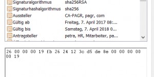 Beitragsbild des Blogbeitrags Active Directory Zertifikatsdienste (Teil 7): Schlüsselarchivierung und Key Recovery Agents 