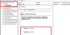 Beitragsbild des Blogbeitrags PowerShell: Encrypt and store your Passwords and use them for Remote Authentication (Protect-CmsMessage)