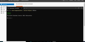 Beitragsbild des Blogbeitrags How to install Windows Terminal on Windows Server 2022