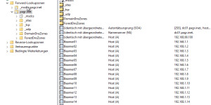 Beitragsbild des Blogbeitrags Create multiple DNS A Records with PowerShell 