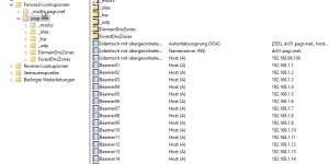 Beitragsbild des Blogbeitrags Create multiple DNS A Records with PowerShell