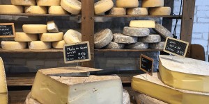 Beitragsbild des Blogbeitrags Käsegeschäft Wien: Wo gibt´s den besten Käse in Wien?