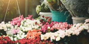 Beitragsbild des Blogbeitrags Blumengeschäfte in Wien: Diese 11 sind außergewöhnlich 