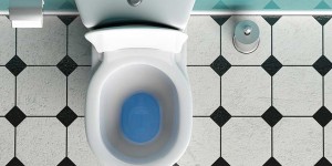 Beitragsbild des Blogbeitrags Was hilft wenn die Toilette verstopft ist?