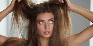 Beitragsbild des Blogbeitrags Frizz – Hausmittel & Shampoos gegen krauses Haar