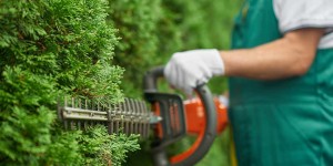 Beitragsbild des Blogbeitrags Garten gestalten: DIY-Tipps für einen schönen Garten