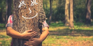 Beitragsbild des Blogbeitrags Hilfe, mein Garten stirbt! So stoppst du Holzfäule