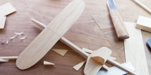 Beitragsbild des Blogbeitrags Balsaholz: Das leichte Holz des Balsabaums 