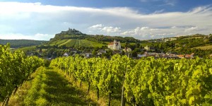 Beitragsbild des Blogbeitrags Restaurants Wien Umgebung: glorreiche 7, die einen Ausflug wert sind