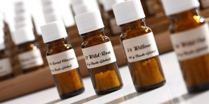 Beitragsbild des Blogbeitrags Was sind Bachblüten? Wofür sind sie gut?