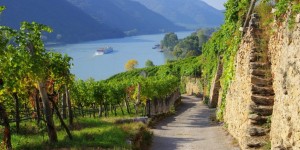 Beitragsbild des Blogbeitrags Wandern in NÖ: 8 Tipps für Wanderungen in Niederösterreich 