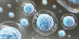 Beitragsbild des Blogbeitrags Immuntherapie gegen Krebs: Ablauf, Nebenwirkungen, Kosten