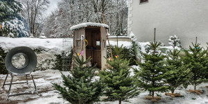 Beitragsbild des Blogbeitrags Christbaum kaufen: Tipps für ein spezielles Weihnachten