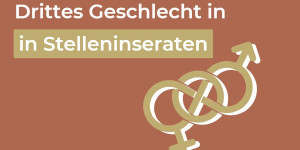 Beitragsbild des Blogbeitrags Drittes Geschlecht in Stelleninseraten 