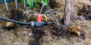 Beitragsbild des Blogbeitrags Eine automatische Bewässerung im Garten planen und verlegen | Gardena Micro Drip System Erfahrung! 