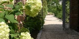 Beitragsbild des Blogbeitrags Kleine Gärten planen: DI Jürgen Hirschmann im Interview | Gartengestaltung Pflanzplan!