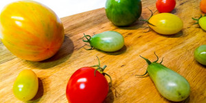 Beitragsbild des Blogbeitrags Grüne Tomaten nachreifen lassen – was tun mit grünen Tomaten?!