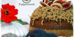 Beitragsbild des Blogbeitrags Maronikuchen mit Schokolade und selbst gemachten Kastanienreis!