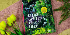 Beitragsbild des Blogbeitrags Kleine Gärten, große Liebe | Gartenbuch | Buchvorstellung!