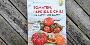 Beitragsbild des Blogbeitrags Tomaten, Paprika & Chili – für Garten und Balkon | Buchtipp!