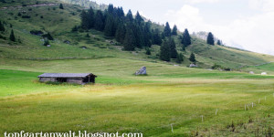 Beitragsbild des Blogbeitrags 4 Einfache Kinderwagen-Wanderungen in Salzburg!