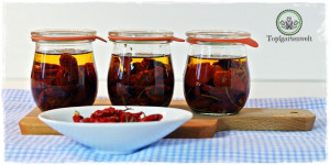Beitragsbild des Blogbeitrags Getrocknete Tomaten in Öl einlegen | Antipasti einkochen! 