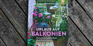 Beitragsbild des Blogbeitrags Urlaub auf Balkonien – Zwischen Gemüselust und Blütenmeer