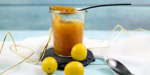 Beitragsbild des Blogbeitrags Kriecherlmarmelade | Haferschlehen / Kriechenpflaumen-Konfitüre – einfaches Rezept! 