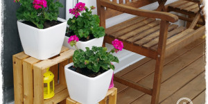 Beitragsbild des Blogbeitrags Senkrecht gärtnern – grüne Wände, Krater, Hoch- und Kistenbeete | Gartenbuch!