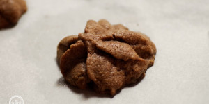Beitragsbild des Blogbeitrags Spritzgebäck Schokoladensterne aus Kekse, Lebkuchen, Teegebäck! 