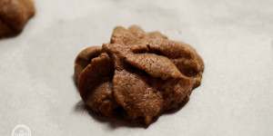 Beitragsbild des Blogbeitrags Spritzgebäck Schokoladensterne aus Kekse, Lebkuchen, Teegebäck!