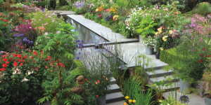 Beitragsbild des Blogbeitrags Blühende Beete – 365 Tage Gartenglück | Gartenbuch!