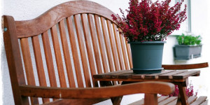 Beitragsbild des Blogbeitrags Wohnen in Grün – dekorieren und stylen mit Pflanzen | Indoorgardening-Buch!
