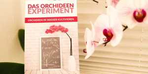 Beitragsbild des Blogbeitrags Das Orchideen Experiment – Orchideen im Wasser kultivieren! 