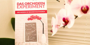 Beitragsbild des Blogbeitrags Das Orchideen Experiment – Orchideen im Wasser kultivieren!