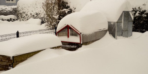 Beitragsbild des Blogbeitrags Schnee im Garten – Schutz oder Gefahr? | Schneechaos in Salzburg!