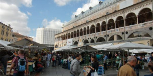 Beitragsbild des Blogbeitrags Der Wochenmarkt in Padua rund um den Palazzo della Ragione! 