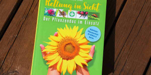 Beitragsbild des Blogbeitrags Rettung in Sicht – Der Pflanzendoc im Einsatz | Readers Digest!