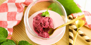 Beitragsbild des Blogbeitrags Johannisbeer-Eis, Ribisel-Eis mit Eismaschine